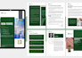 design professional ebooks, kdp, and workbooks in canva